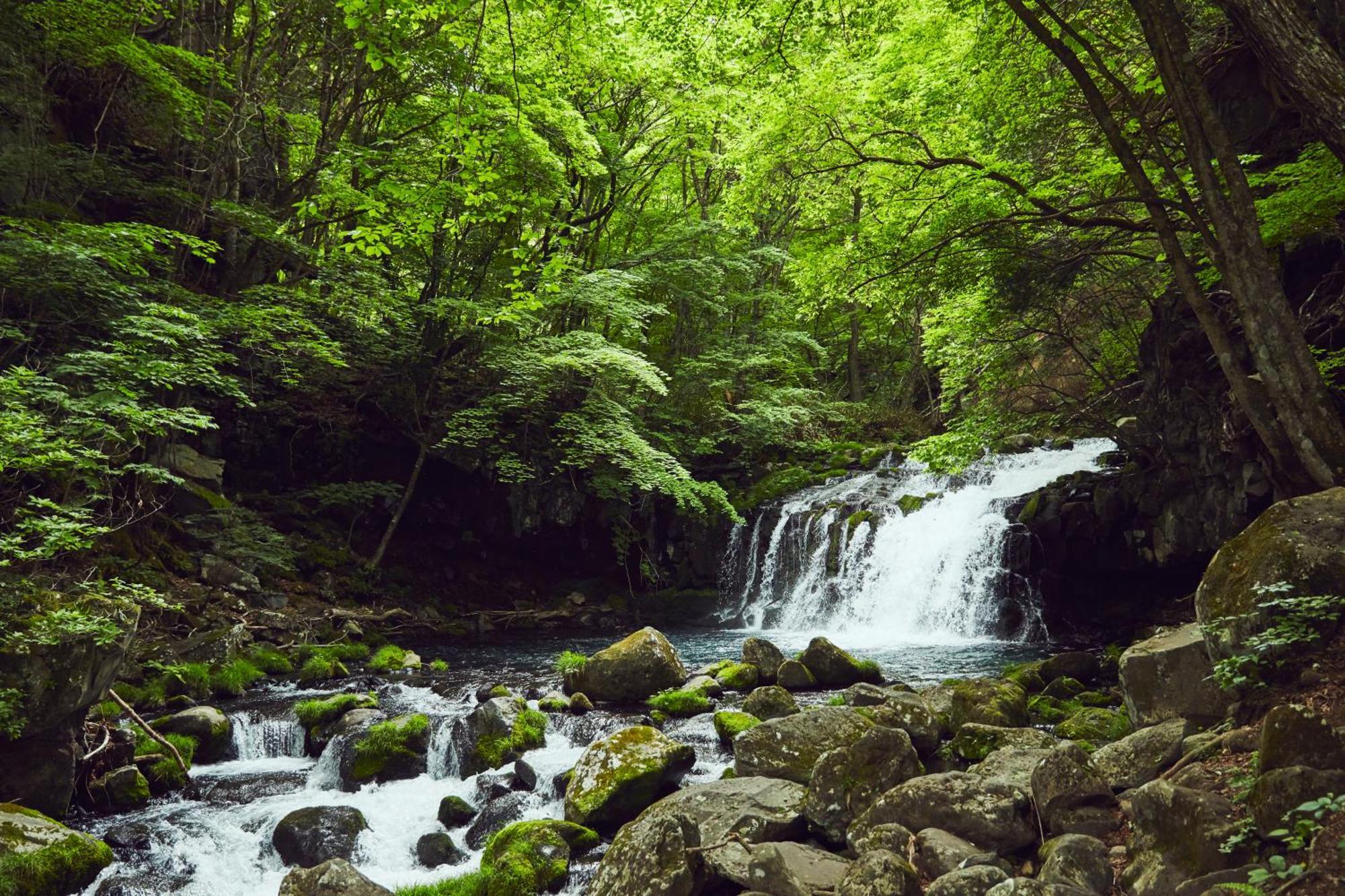 Tateshina Shinyu Onsen Hotel Chino Eksteriør billede